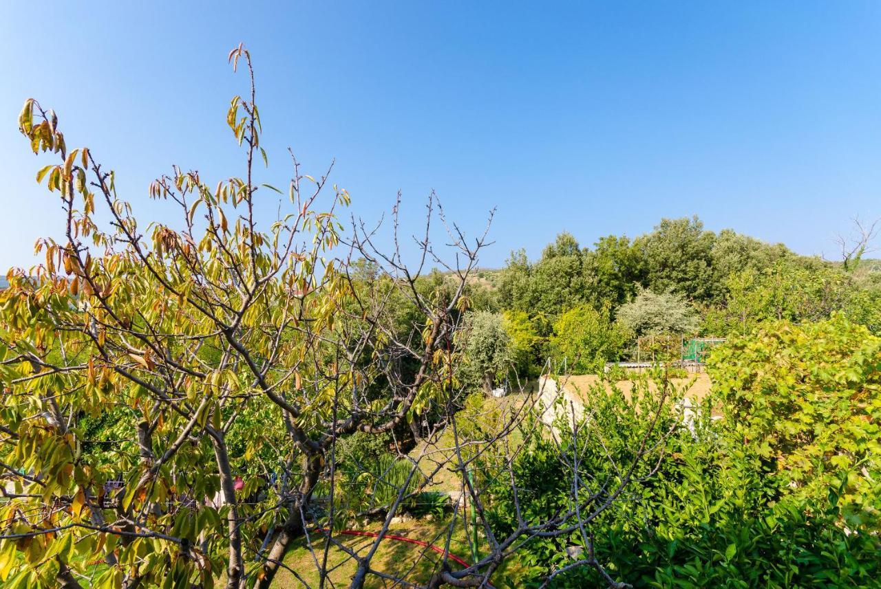 Apartments Ruza A Lopar Zewnętrze zdjęcie